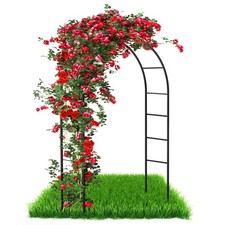 Arche de jardin en métal pour