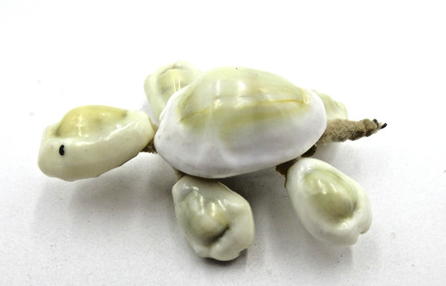 Vtg seashell shell tortoise - vtg,