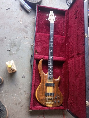 Alembic string solid body - solid,