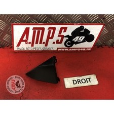 Ecope de radiateur Suzuki SV