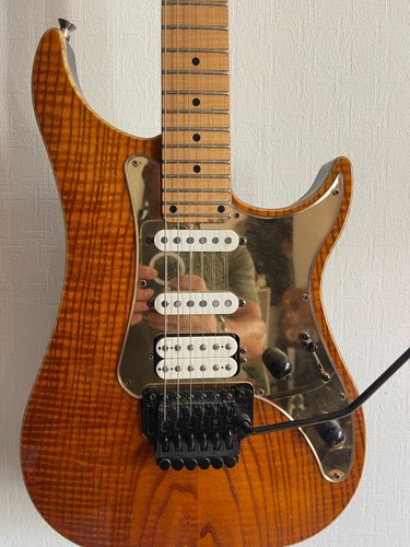 Guitar vigier excalibur - vigier,