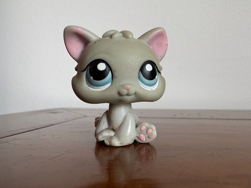 Petshop chaton gris - , 198