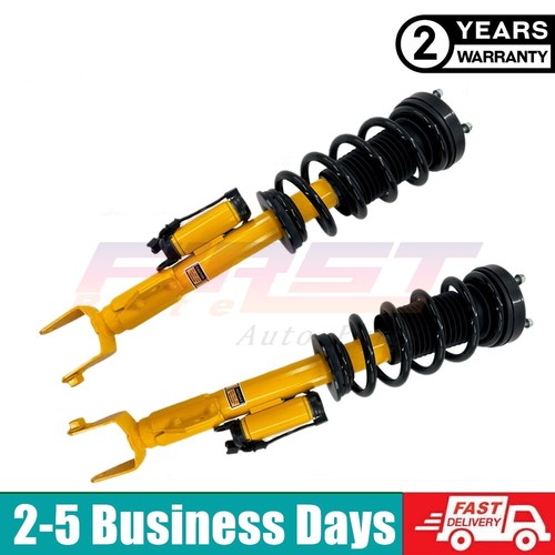 Front shock struts - 2x, assembly