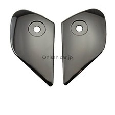 SHOEI Repair Parts TXR Shield