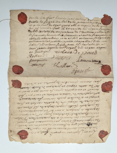 Testament isabeau viala - testament,
