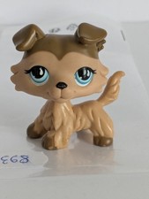 Petshop chien colley 893