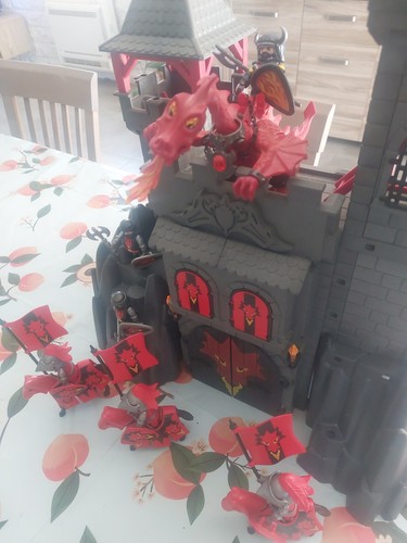 Playmobil château fort dragon - playmobil, château-fort