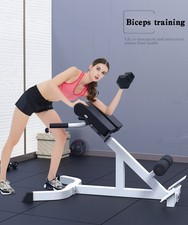 Adjustable Roman Chair Back