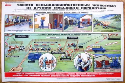 Affiche 100 originale - 100%, russie
