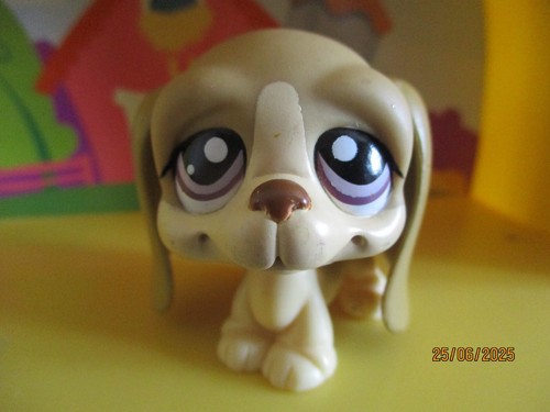 Petshop chien basset - chien,
