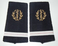 PAIRE DE FOURREAUX D'EPAULES -