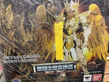 Saint cloth myth - cloth, gemini