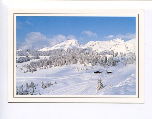 Majestueux hiver paysage de - majestueux,
