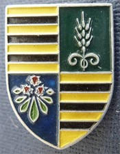 WW2-METAL léger CJF 10 CHARTREUSE - Equipe MOLLARD ROND - CHANTIERS de JEUNESSE