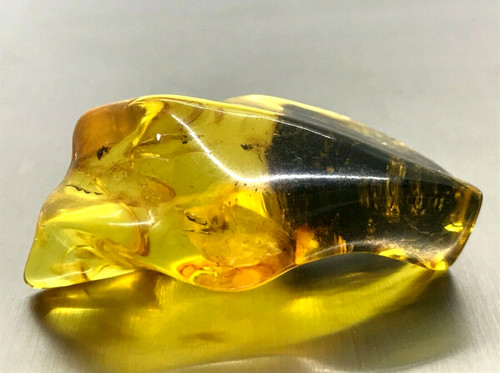 Piece ambre insectes - piece,