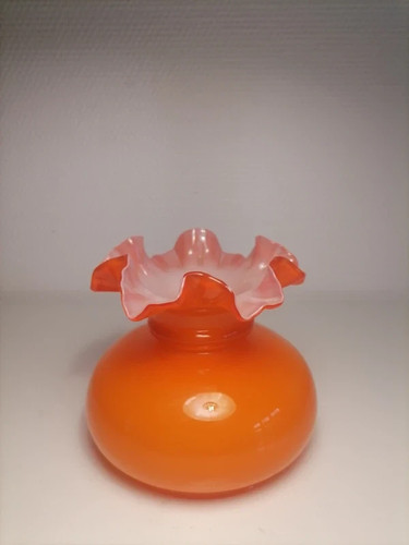 Tulipe opaline orange - tulipe,