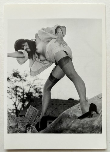 Elmer batters carte postale - elmer,