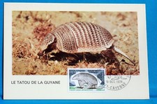 LE TATOU DE LA GUYANE   FRANCE CPA Carte Postale Maximum  Yt 1819 C 