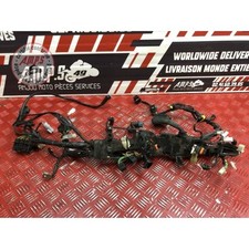 Faisceau électrique principale Moto-Guzzi 750 V7 III Spécial 2017 à 2020