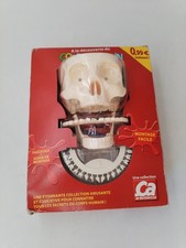 A La Découverte Du Corps