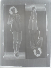 1900 PHOTO SUR PLAQUE DE VERRE