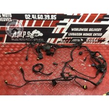 Faisceau électrique principale Ducati 1000 Monster 2003 à 2005