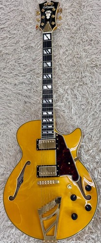 Angelico excel ss - d'angelico,