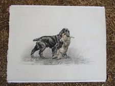 Grande Lithographie Cocker et Lièvre.Léon DANCHIN 1932. Signée n°266/500. Chasse