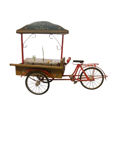 Vélo triporteur grande