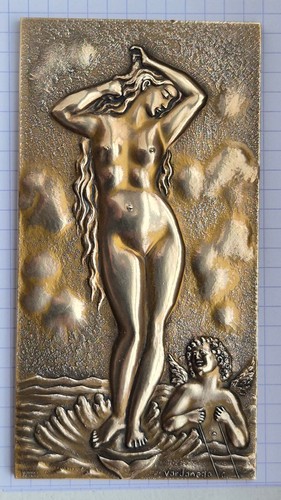 Rare plaque médaille - plaque/médaille, en