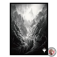 NOUVELLE pochette de carte