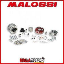 3115390 CYLINDRE KIT MALOSSI