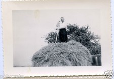 Portrait homme sur une meule de foin voiture ancienne - photo an. 1940