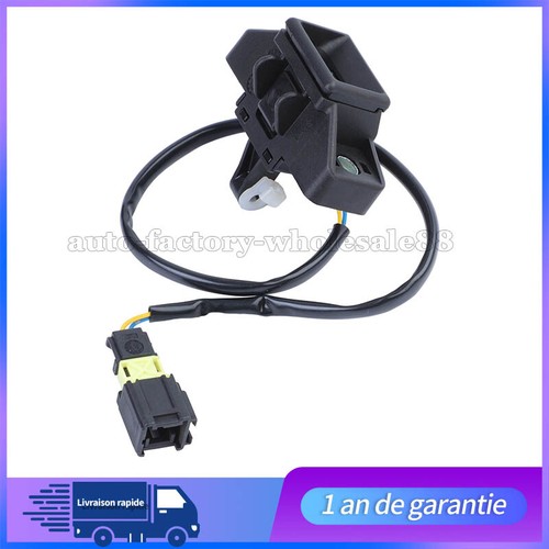 Verrou fermeture coffre - fermeture,