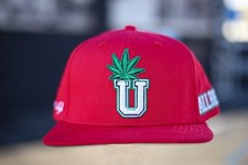 Cannabis Baseball  snapback-