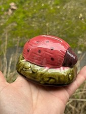 Tirelire À Casser &