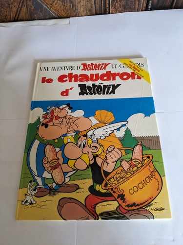 Chaudron asterix cochonou - le,