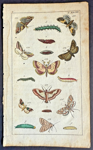 Rare 1797 wilhelms nine - wilhelms,