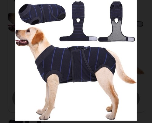 Dog anxiety wrap shirt calming - anxiety,
