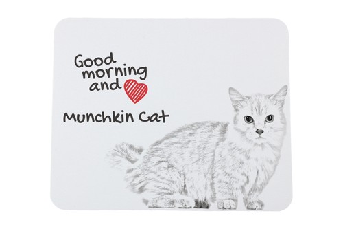 Chat munchkin souris avec - munchkin,