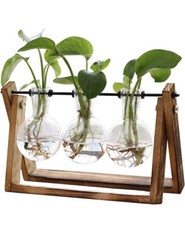 Plant Terrarium with Wooden