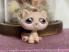 Petshop chat gouttière - chat,