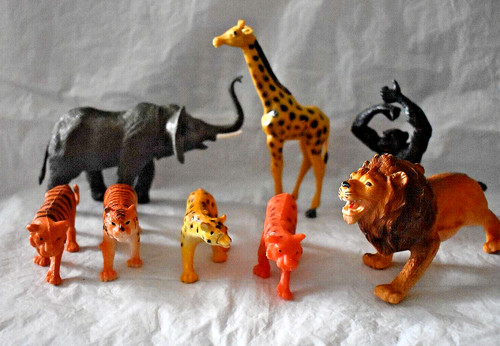 Lot animaux sauvages avec