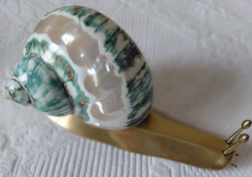 Vintage escargot - 🐚,