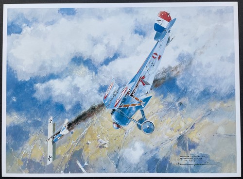 Georges guynemer nieuport - guynemer,