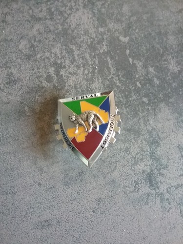 Insigne pucelle militaire - insigne,