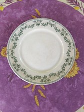 Assiette Plate Demi Porcelaine