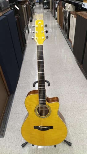 Guitare acoustique électrique
