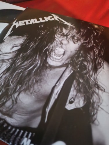 Metallica vinyl - metallica,