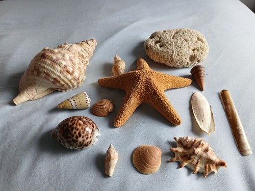 Superbe ancienne collection - collection, de